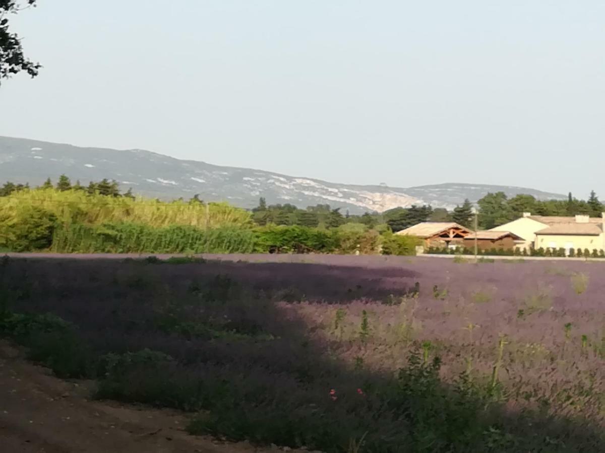 לינה וארוחת בוקר לה תור Au Pays Du Ventoux מראה חיצוני תמונה